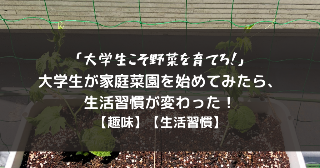 生活習慣を変えたい大学生は家庭菜園をしろ 大学生が家庭菜園をしたらめっちゃよかった件 趣味 ればげっと