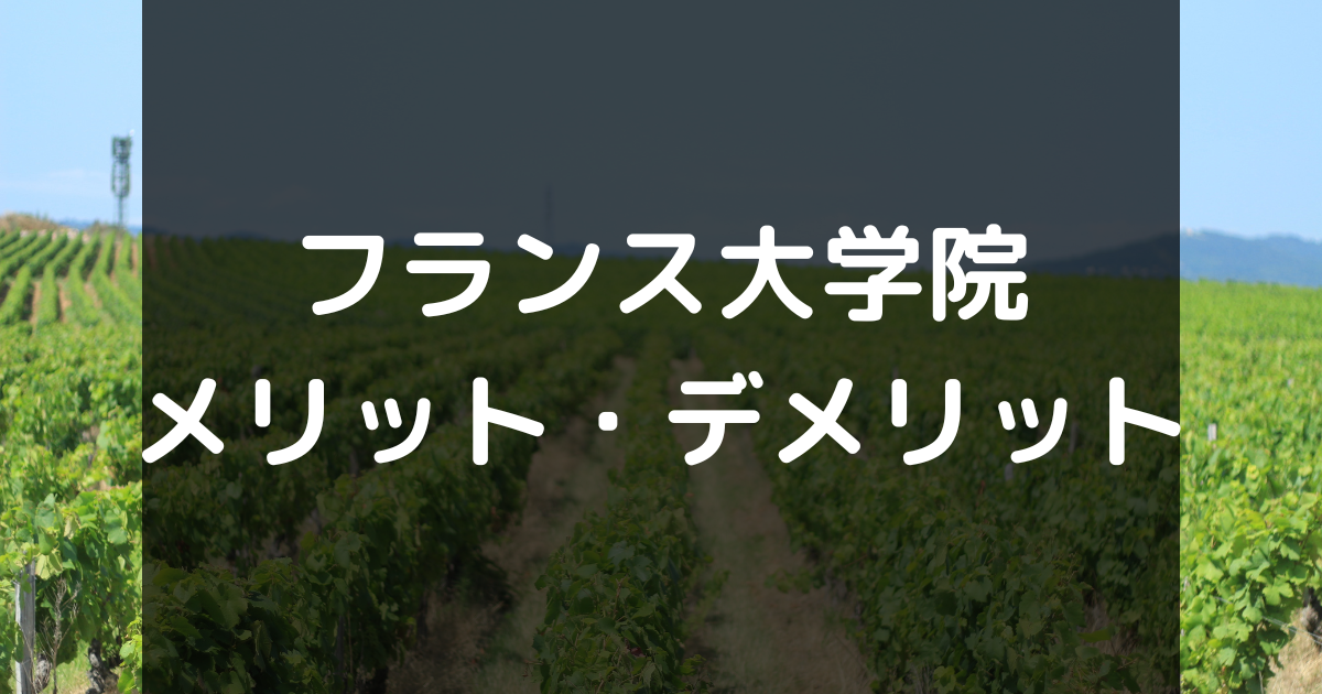 「現役フランス大学院正規大学生」が教えるフランス大学院留学のメリット・デメリットまとめ【フランス留学】 ればげっと